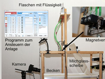 Bild von einem Eichhörnchen