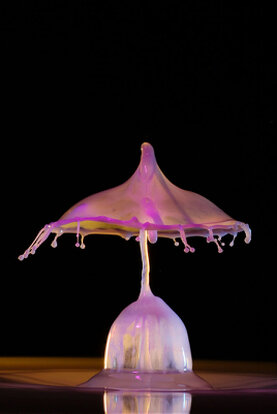 Farbige Wasserskuplturen, die aus mehreren Tropfen entstanden sind.