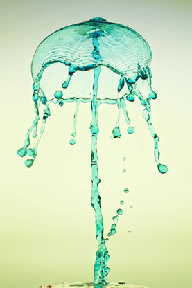 Farbige Wasserskuplturen, die aus mehreren Tropfen entstanden sind.