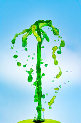 Wasserskuplturen, die aus einem Strahl von unten, entstanden sind.
