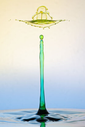 Farbige Wasserskuplturen, die aus mehreren Tropfen entstanden sind. 
