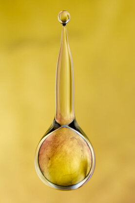 Wassertropfen im Augenblick des Abtropfens.